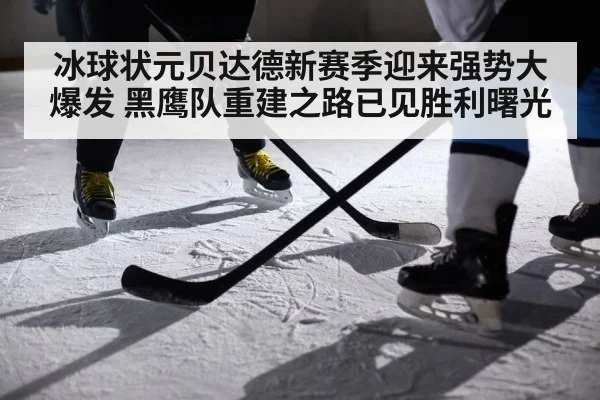 冰球状元贝达德新赛季迎来强势大爆发 黑鹰队重建之路已见胜利曙光