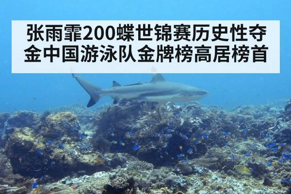 张雨霏200蝶世锦赛历史性夺金中国游泳队金牌榜高居榜首
